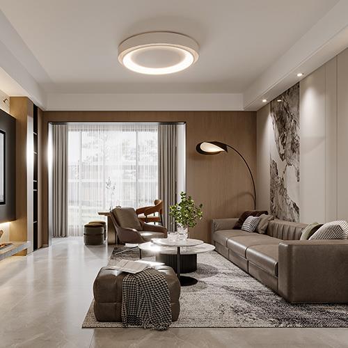 惠州李总雅居家装项目